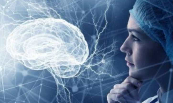 2025年插電混動(dòng)MPV銷(xiāo)量榜揭曉：嵐圖夢(mèng)想家?jiàn)Z第二