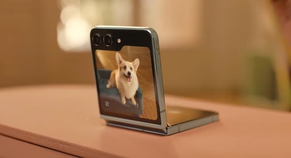 萌寵攝影必修課：如何用三星Galaxy Z Flip5拍出質(zhì)感大片