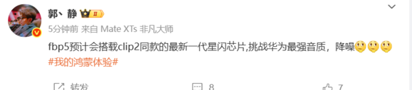 音質(zhì)新高度！曝華為FreeBuds Pro 5搭載新一代星閃芯片