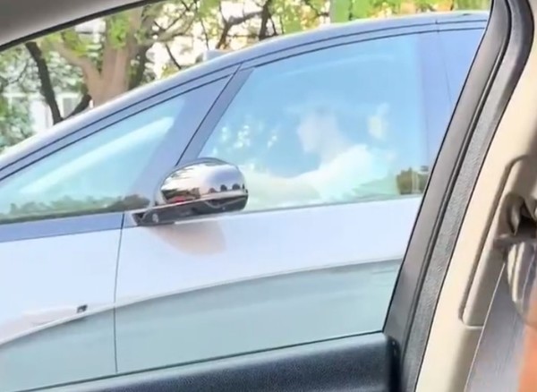 網(wǎng)友拍到知名男星開(kāi)理想MEGA！羅永浩也自稱(chēng)是車(chē)主