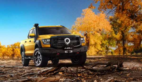 2025年2月全國皮卡生產(chǎn)3.8萬(wàn)輛 出口2.0萬(wàn)輛 繼續保持高位 - 手機中國 -