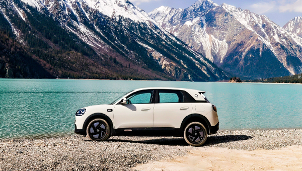 2月中國乘用車(chē)廠(chǎng)商出口TOP 20公布 特斯拉只能排第7